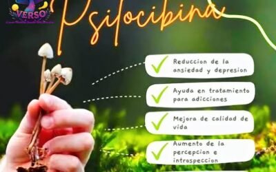 El llamado de los niños santos: un camino de sanación y despertar