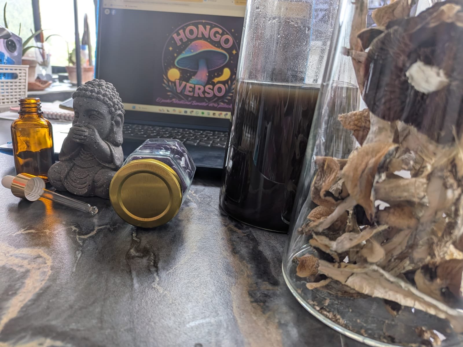 Hongos PSI deshidratados 25 gramos - Imagen 6