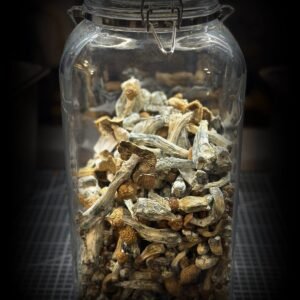 Hongos PSI deshidratados 30 gramos