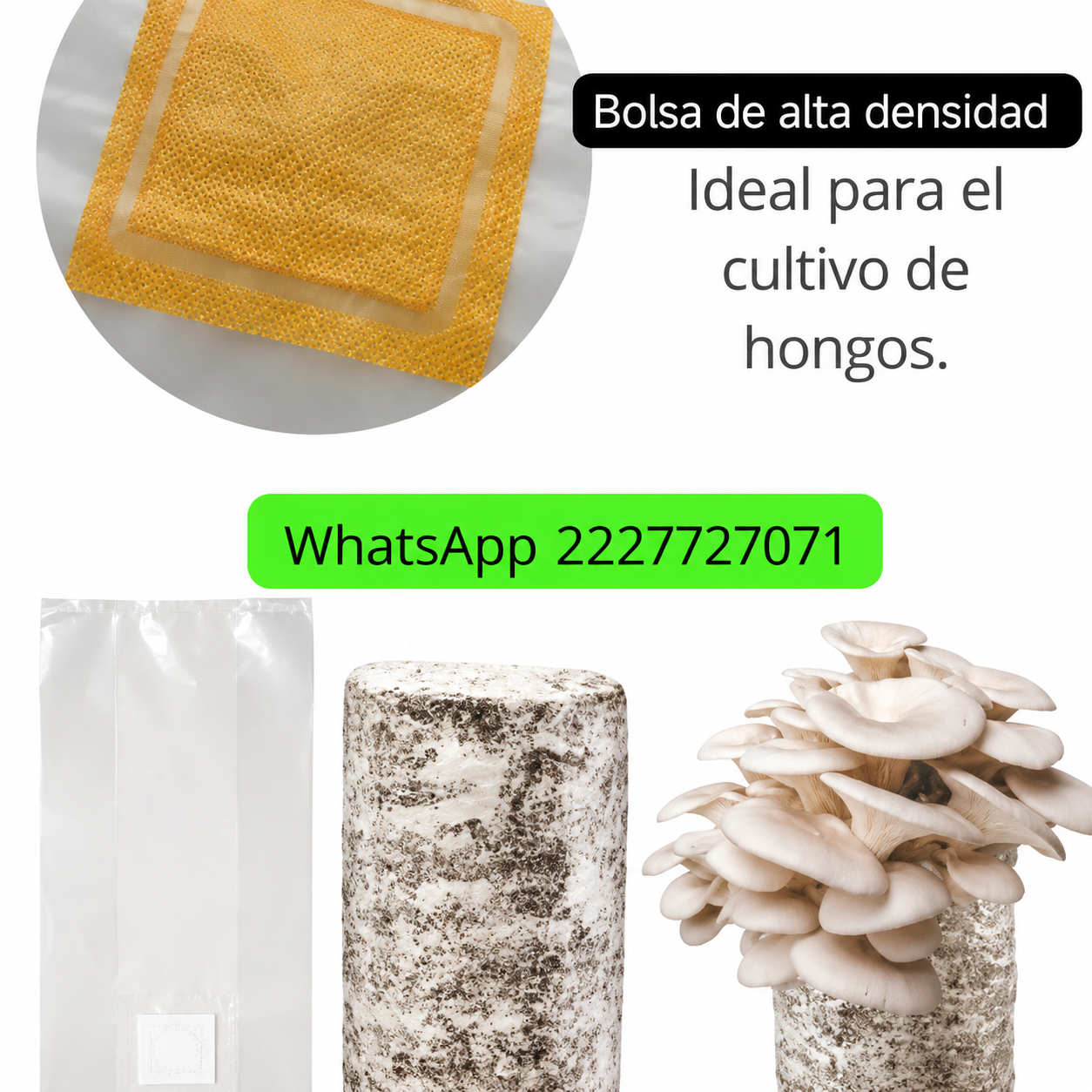 PAQUETE 1 BÁSICO EN BOLSA✨🍄 DOBLE