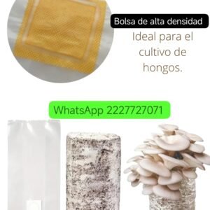 PAQUETE 1BÁSICO EN BOLSA✨🍄
