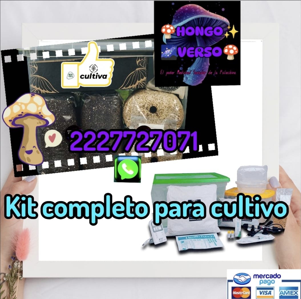 Paquete 3 PREMIUM✨🍄