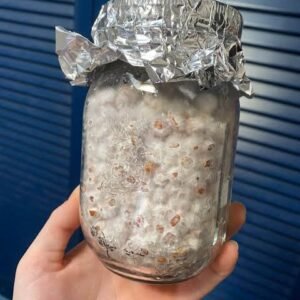 1 Frazco de grano colonizado con micelio