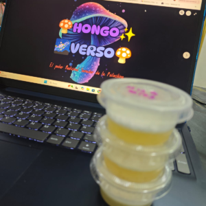 3 Venta de micelio en Agar PDA