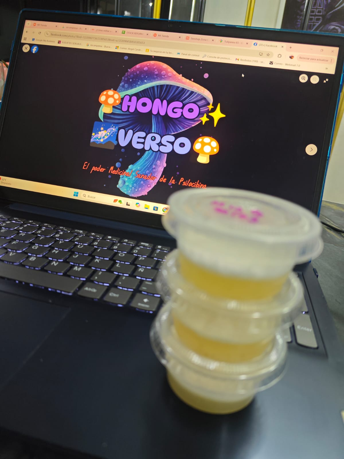 3 Venta de micelio en Agar PDA