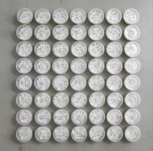 Venta de micelio en Agar PDA 3botecitos - Imagen 2