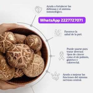 Cápsulas medicinales🌌60pz hongos shiitake
