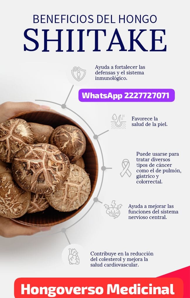Cápsulas medicinales🌌90pz hongos shiitake - Imagen 2