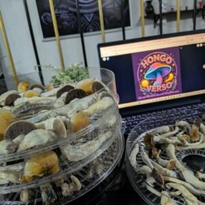 Hongos deshidratados 25 gramos