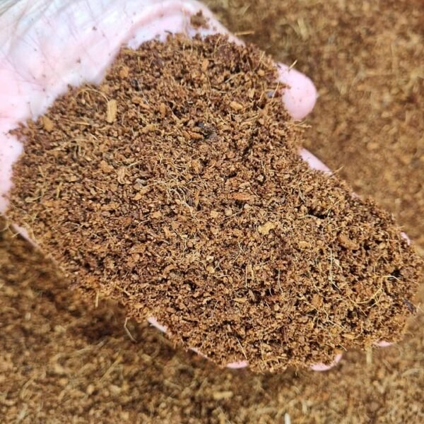 Sustrato de fibra de coco o viruta de encino esterilizado 1,000gr - Imagen 3