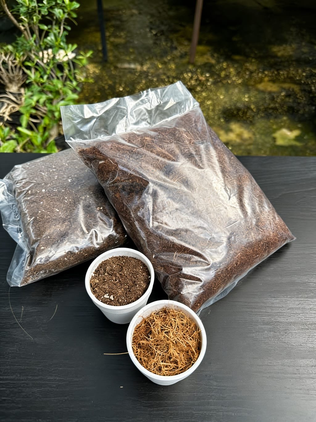 Sustrato de fibra de coco o viruta de encino esterilizado 500gr - Imagen 4