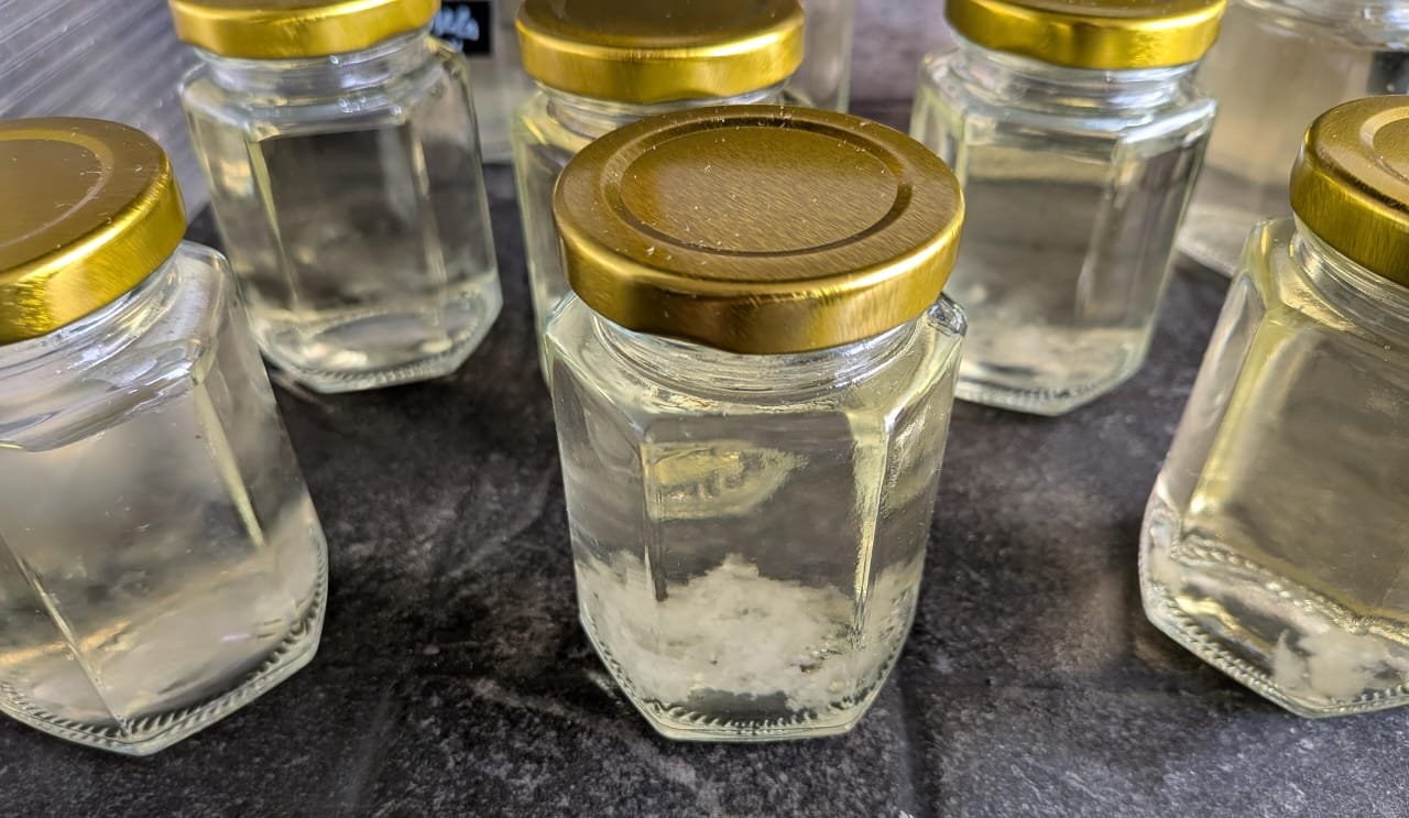 2 Micelio liquido Honey Tek Cultura liquida - Imagen 2