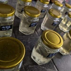 2 Micelio liquido Honey Tek Cultura liquida