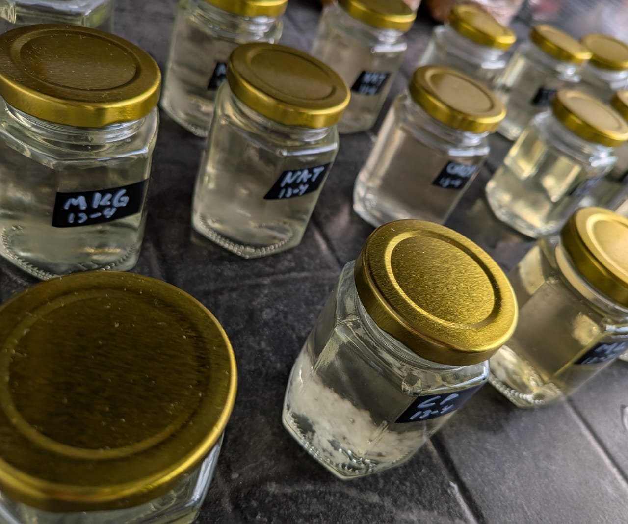 2 Micelio liquido Honey Tek Cultura liquida