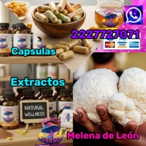 2 Goteros Extracto de hongos medicinales 50ml c/u  melena de leon hericium erinaceus