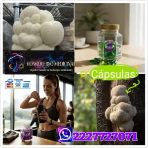 Cápsulas medicinales🌌30pz hongos melena de leon hericium erinaceus