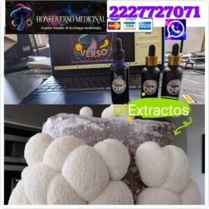 2 Goteros Extracto de hongos melena de leon 30ml c/u hericium erinaceus