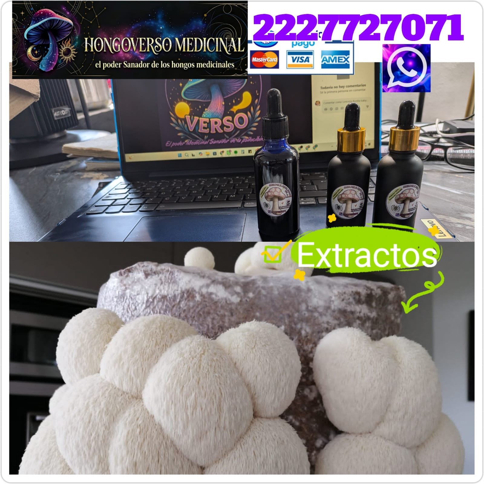 2 Goteros Extracto de hongos melena de leon 30ml c/u hericium erinaceus
