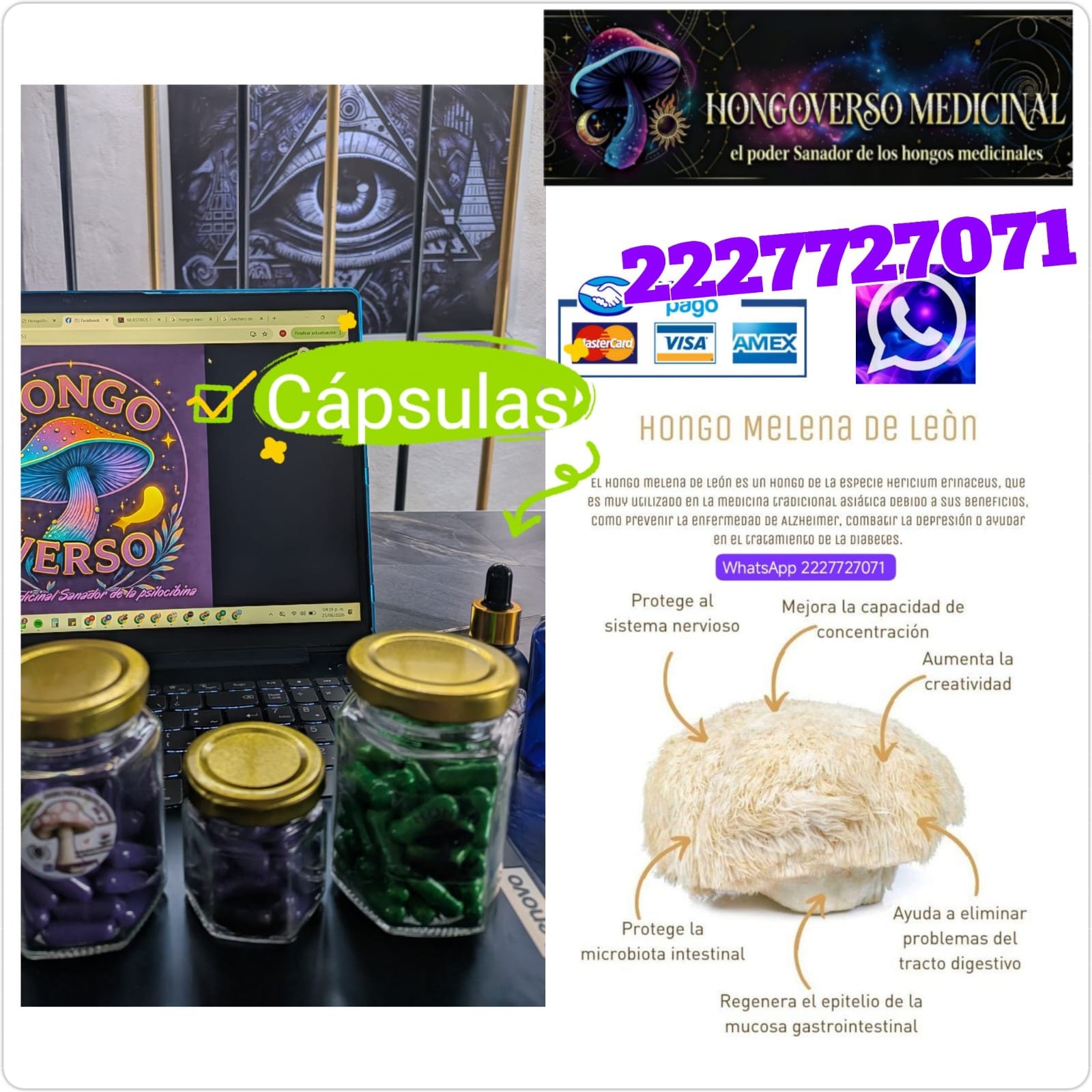 Cápsulas medicinales🌌90pz hongos melena de leon hericium erinaceus