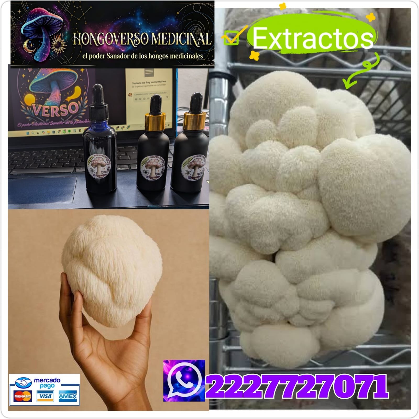Extracto de hongos melena de leon 50ml hericium erinaceus