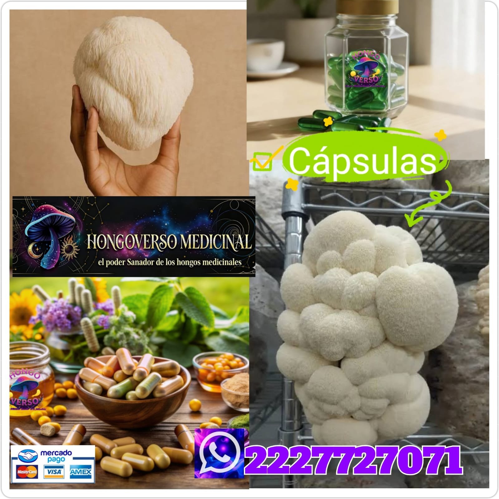 Cápsulas medicinales🌌60pz hongos melena de leon hericium erinaceus - Imagen 6