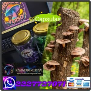 Cápsulas medicinales🌌90pz hongos shiitake